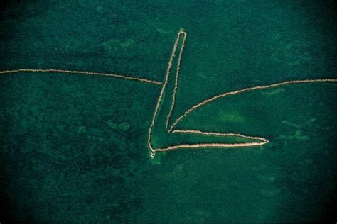 La Terre Vue Du Ciel Par Yann Arthus Bertrand