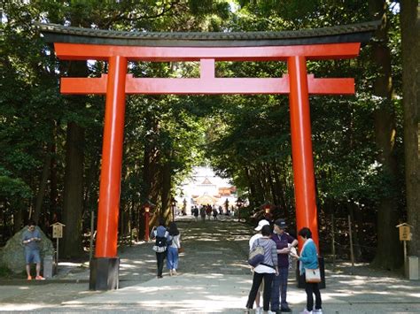 Kirishima Shrine | Guide Very Japanese