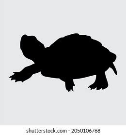 Turtle Silhouette Turtle Isolated On White Stock Vector (Royalty Free ...