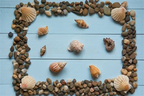 Grande Struttura Con Le Conchiglie Delle Rocce Delle Pietre Dei