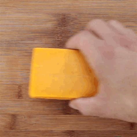Cheese  Find And Share On Giphy