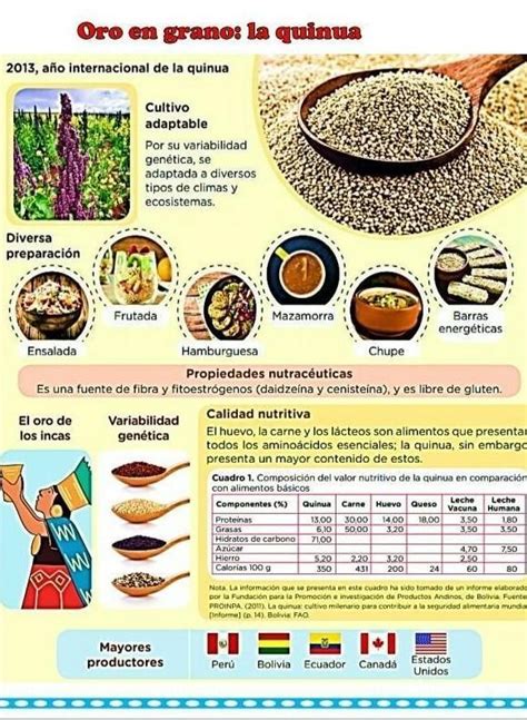 qué aspectos de la quinoa se informan en este texto por qué crees que