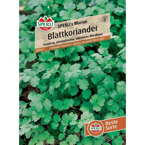 Sperli Blattkoriander Sperli´s Marino Coriandrum Sativum Kaufen Bei Obi