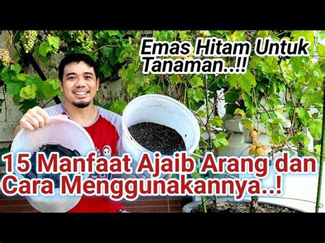 Manfaat Arang Untuk Tanaman Yang Jarang Diketahui Solider