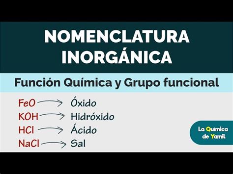 Función Química Vs Grupo Funcional Beatriz Arroyo