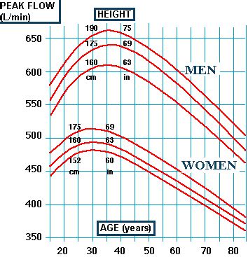 Peak Flow Meter Age Chart