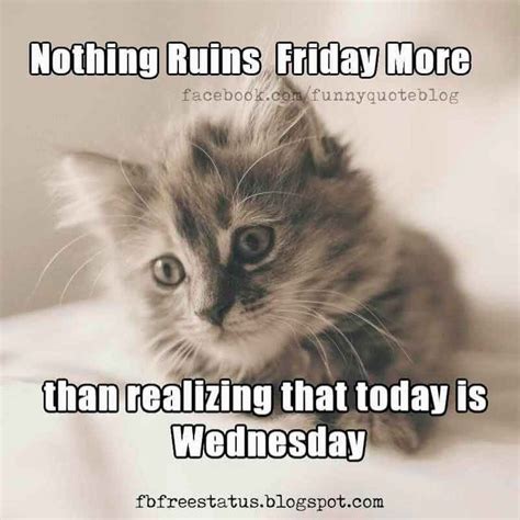 Nothing Ruins Friday More Than Realizing That Today Is Wednesday Happy