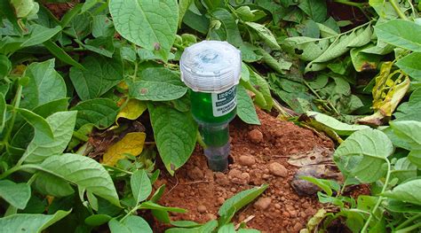 Tensiómetro de humedad para suelos agrícolas Instalación