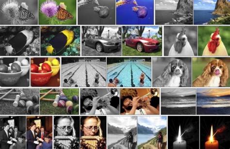 Un Programa Que Usa Inteligencia Artificial Para Colorear Fotos En Blanco Y Negro Laflecha