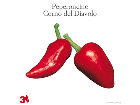 Peperoncino Piccante Corno Del Diavolo Vaso Cm Obi