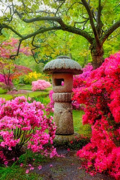 Jardín japonés parque clingendael la haya países bajos Foto Premium