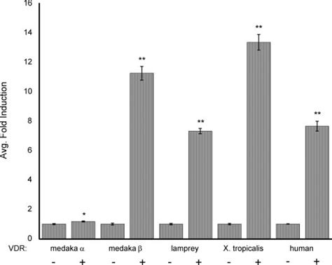 Transactivation Of Gal4 Chimeric MVDR And MVDR By 1 25 OH 2 D 3 CV 1