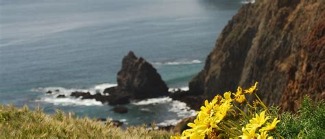 Channel Islands National Park 2021 Best Of Channel Islands National