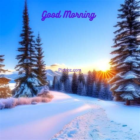 Good Morning Winter Images