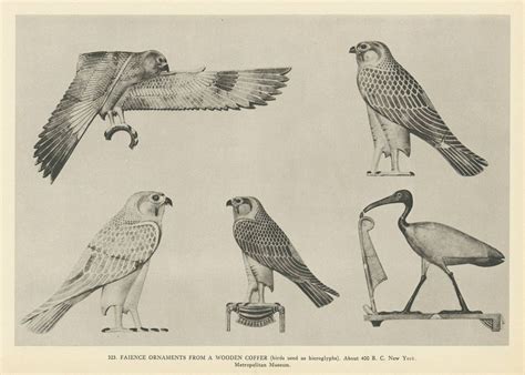 Egyptian Birds Used In Hieroglyphics. About 400 B.C. Now at the New ...