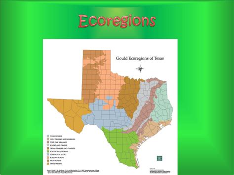 Ppt Ecoregions Of Texas Powerpoint Presentation Free Download Id