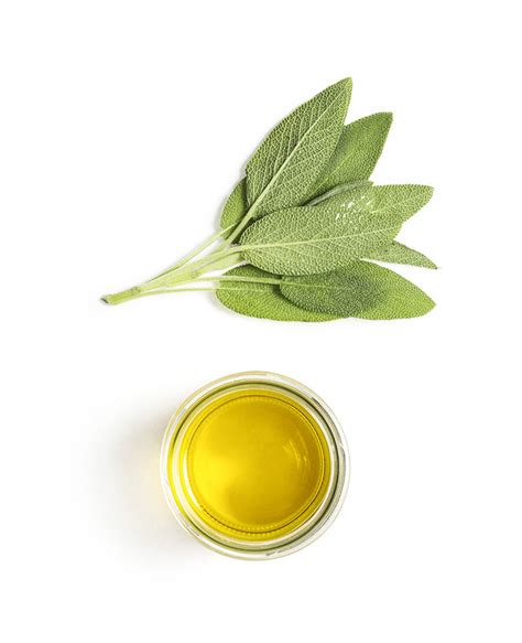 Organic Oil – Dalia