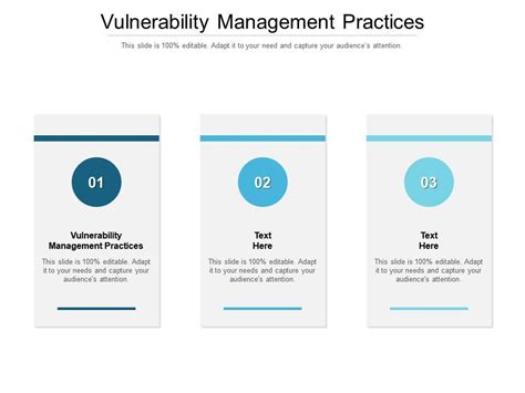 Vulnerability Management Practices Ppt Powerpoint Presentation