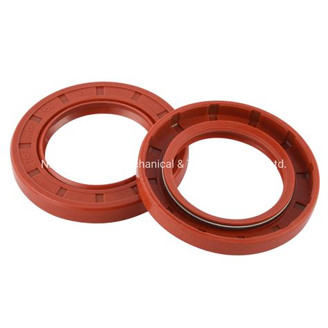 Standard Rotary Seals FKM NBR EPDM Tc Sc DC Oil Seals China Oil Seal