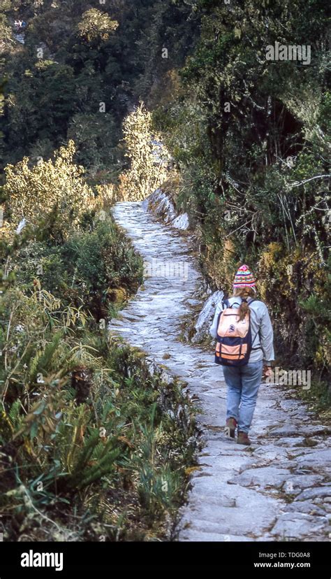 Hiker along the mythical Camino Inca, Inca Trail, towards Machu Picchu ...