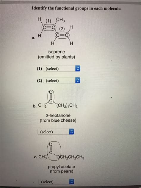 Solved Identify The Functional Groups In Each Molecule