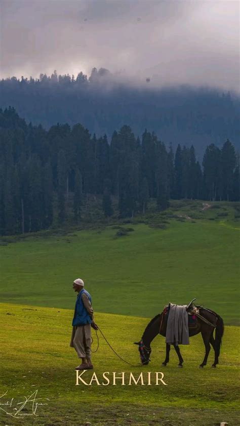 amazing view of Kashmir 😍😍😍 | Quick travel, Kashmir trip, Travel ...