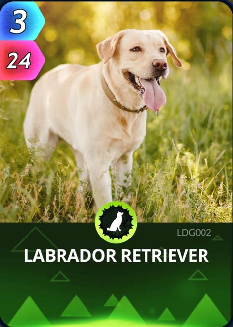 Labrador Retriever Cards The Universe And Everything Wiki Fandom