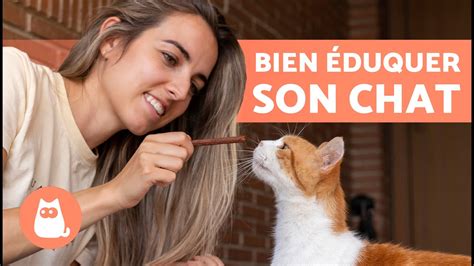 Comment EDUQUER un CHAT Guide complet sur l éducation d un chat