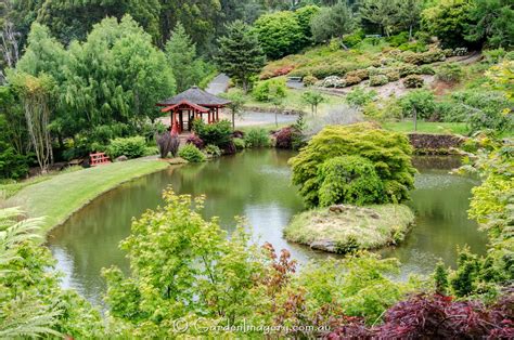 Loved This Japanese Style Garden At The Emu Valley Rhododendron Gardens