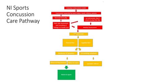 Sport Ni Concussion Care Pathway Ppt Download