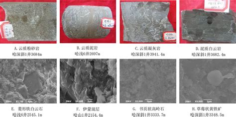 准北哈山地区二叠系风城组云质岩储层特征及成因分析