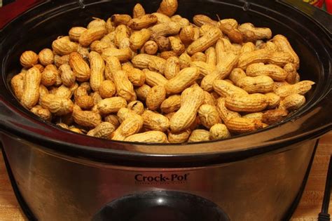 Southern Slow Cooked Hot Boiled Peanuts Receita