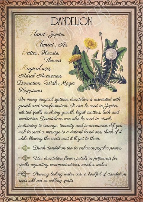 Wicca Herbs, Witchcraft Herbs, Green Witchcraft, Witchcraft Spell Books ...