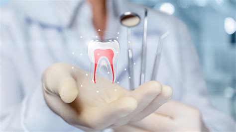 Kanal Tedavisi Rejeneratif Endodontik Tedaviler Ankara Biz Dental