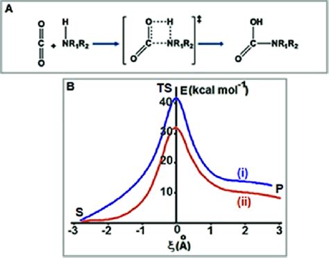 Direct Formation Of Carbamic Acid A Four Membered Mechanism And B