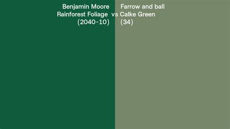 Benjamin Moore Rainforest Foliage 2040 10 Vs Farrow And Ball Calke