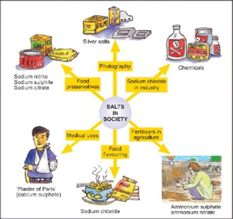 Learneng: Science in Everyday Life / Wonders of Modern Science