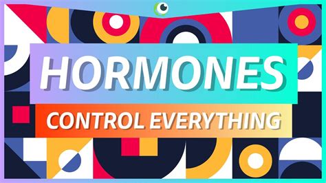 HORMONES CONTROL YOU Hormones And The Endocrine System Beautiful