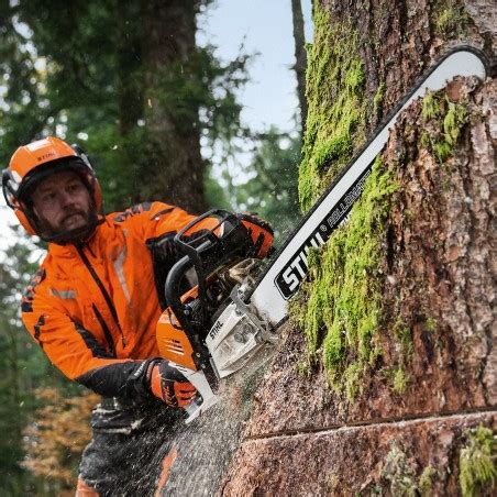 Tron Onneuse Stihl Ms I Thomas Rural Master