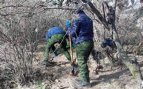 Encuentran Fosa Clandestina Con Cuerpos En Zacatecas La Prensa