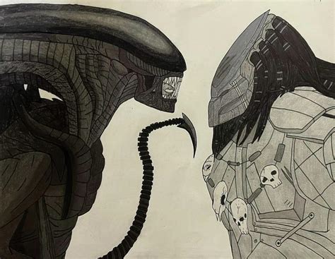 Alien Vs Predator Drawing By Mary Rollins Pixels