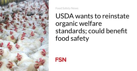 Usda Wants To Reinstate Organic Welfare Standards Could Benefit Food