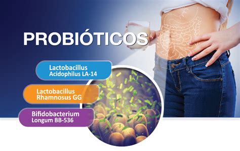 Probi Ticos Beneficios En La Flora Intestinal Tulipanesa