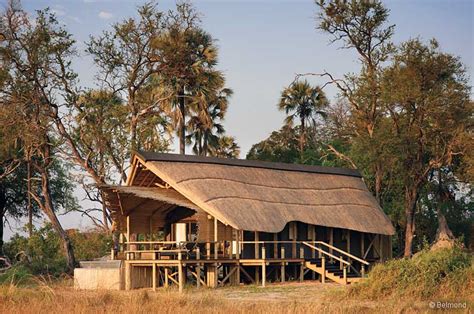 Luxus Reise Botswana Safari Kapstadt Safari Aktuell