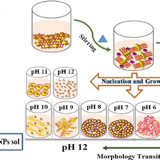 Ftir Spectra Of Ph Assisted Phph Aunps Inset Corresponds To The