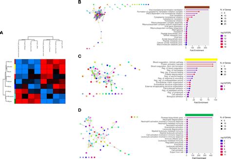 Frontiers Proteomic Profiling Of Extracellular Vesicles In Synovial