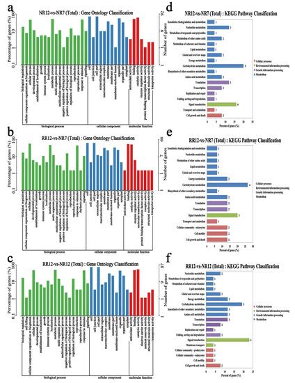 Genes Free Full Text Integrative Investigation Of Root Related