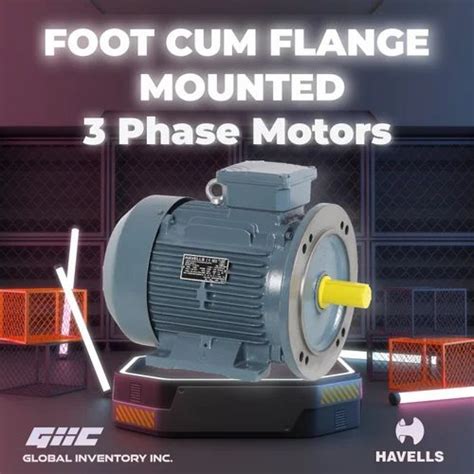 Foot Cum Flange Mounted Electric Motor At Rs 5000 Vandiyur Madurai