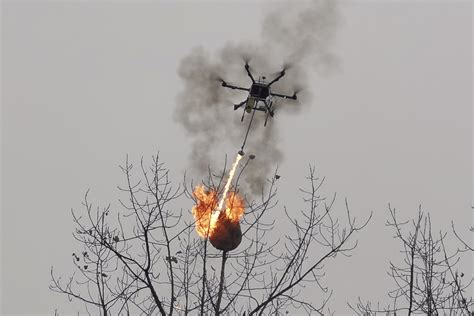 Flamethrower Drone Incinerates Wasp Nests In China Ap News