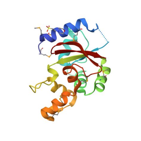 RCSB PDB 3VU0 Crystal Structure Of The C Terminal Globular Domain Of